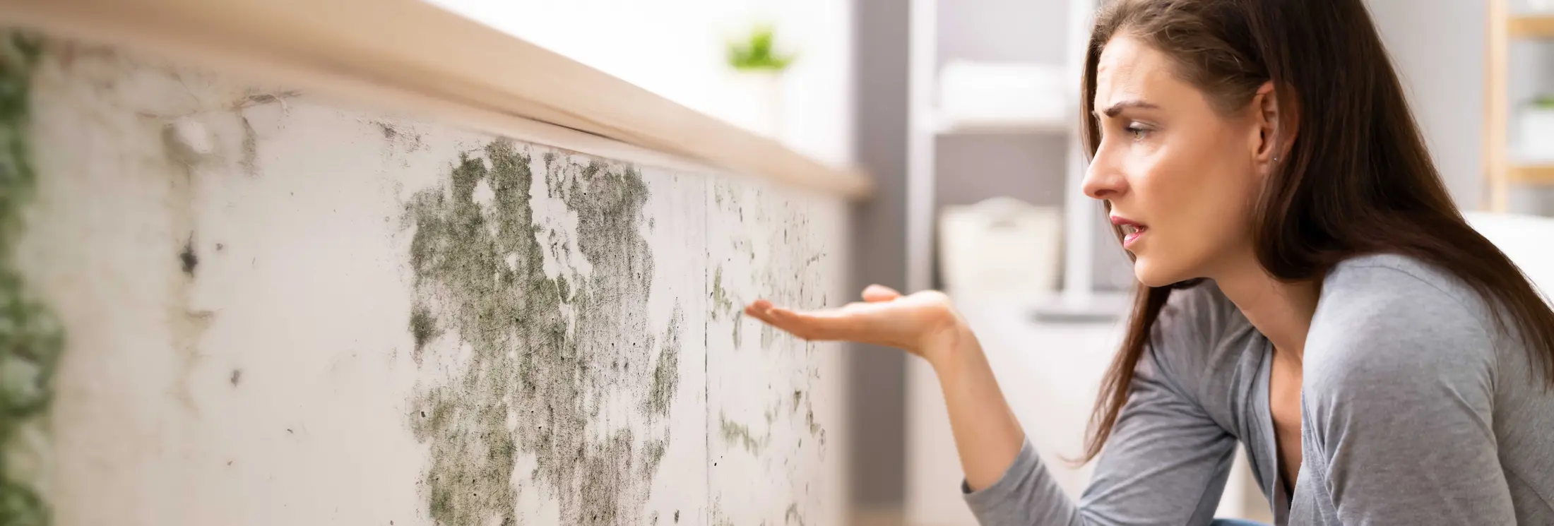 Fallrohrsanierung Karlsruhe Fallrohrsanierung Karlsruhe